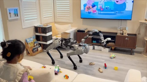 Robot demonstration for Visual Whole-Body Control for Legged Loco-Manipulation